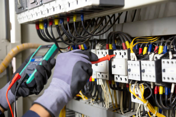 Best Surge Protection Installation  in Zeeland, MI